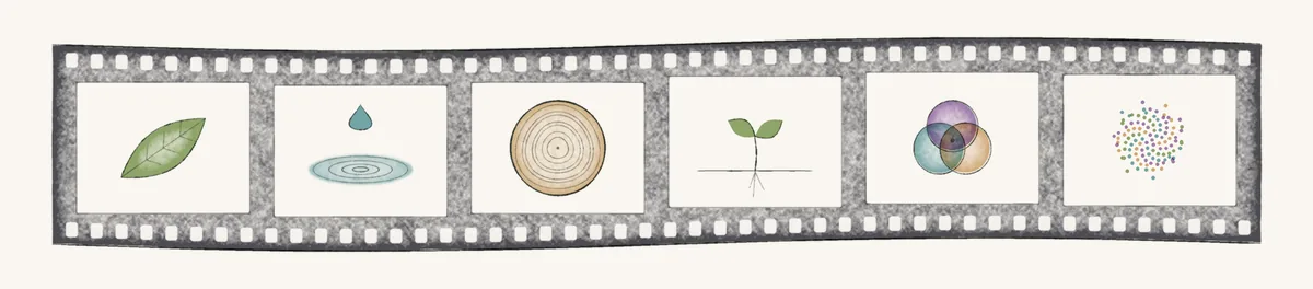 Watercolor of a film strip with six frames, each holding a different small scene